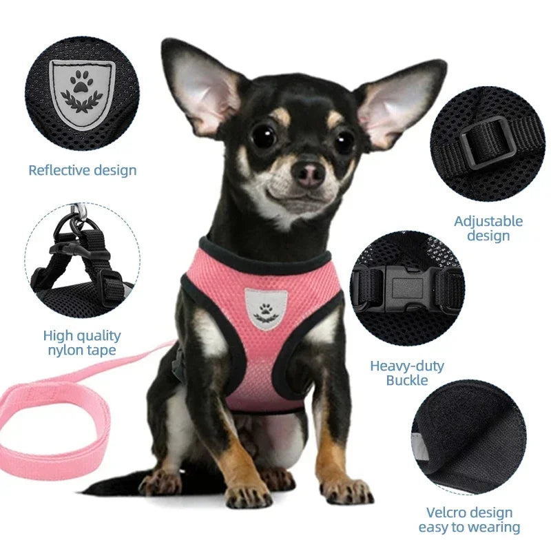 Comfy  Harness for Cats & Small Dogs