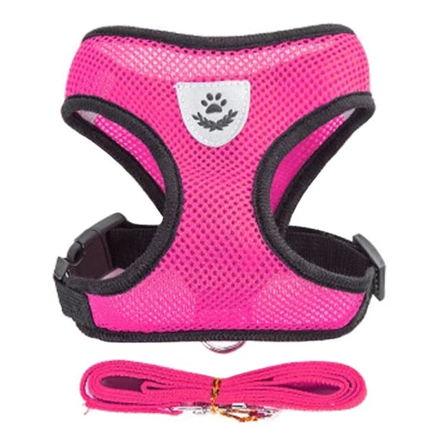 Comfy  Harness for Cats & Small Dogs