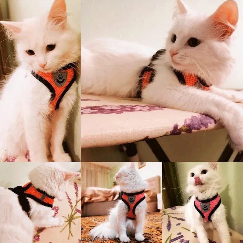 Comfy  Harness for Cats & Small Dogs