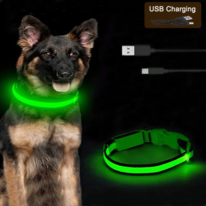 GlowSafe LED Collar for Dogs & Cats