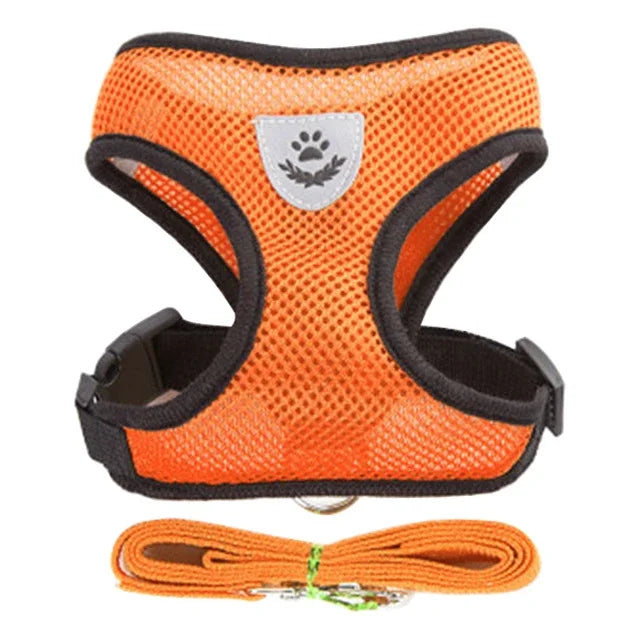 Comfy  Harness for Cats & Small Dogs
