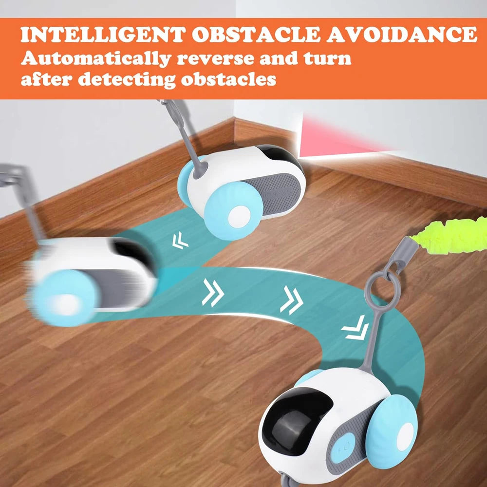 Interactive Pet Toy