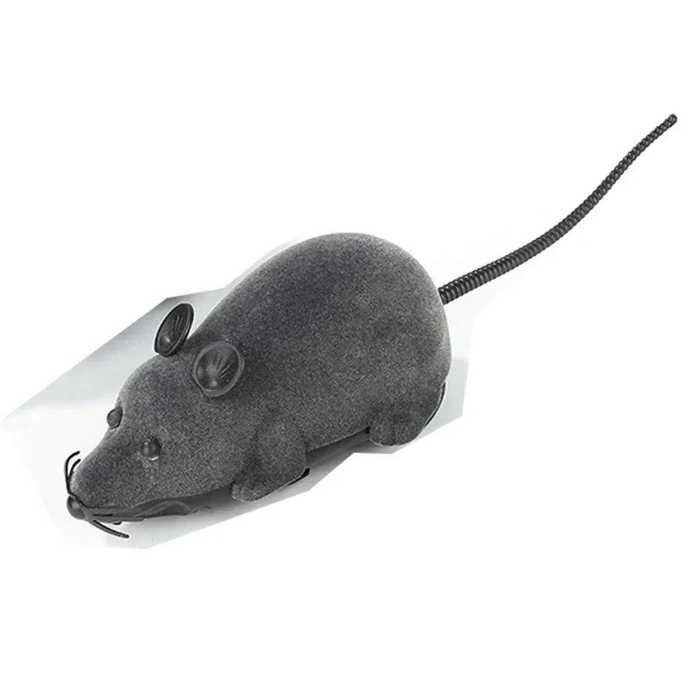 Remote Control Rat Cat Teaser Toy