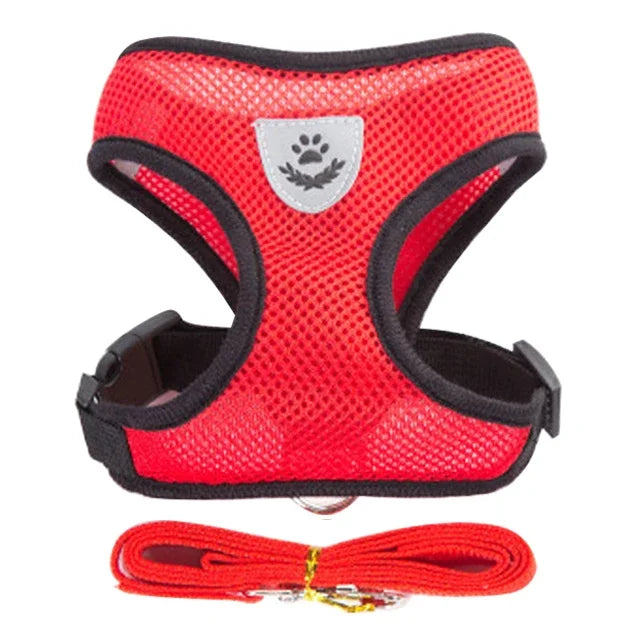 Comfy  Harness for Cats & Small Dogs