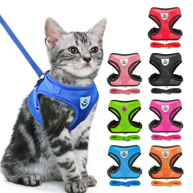 Comfy  Harness for Cats & Small Dogs