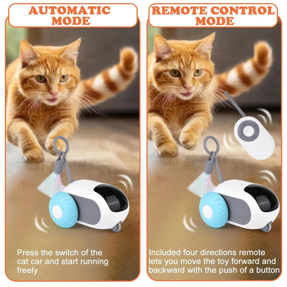 Interactive Pet Toy