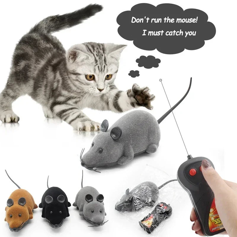 Remote Control Rat Cat Teaser Toy