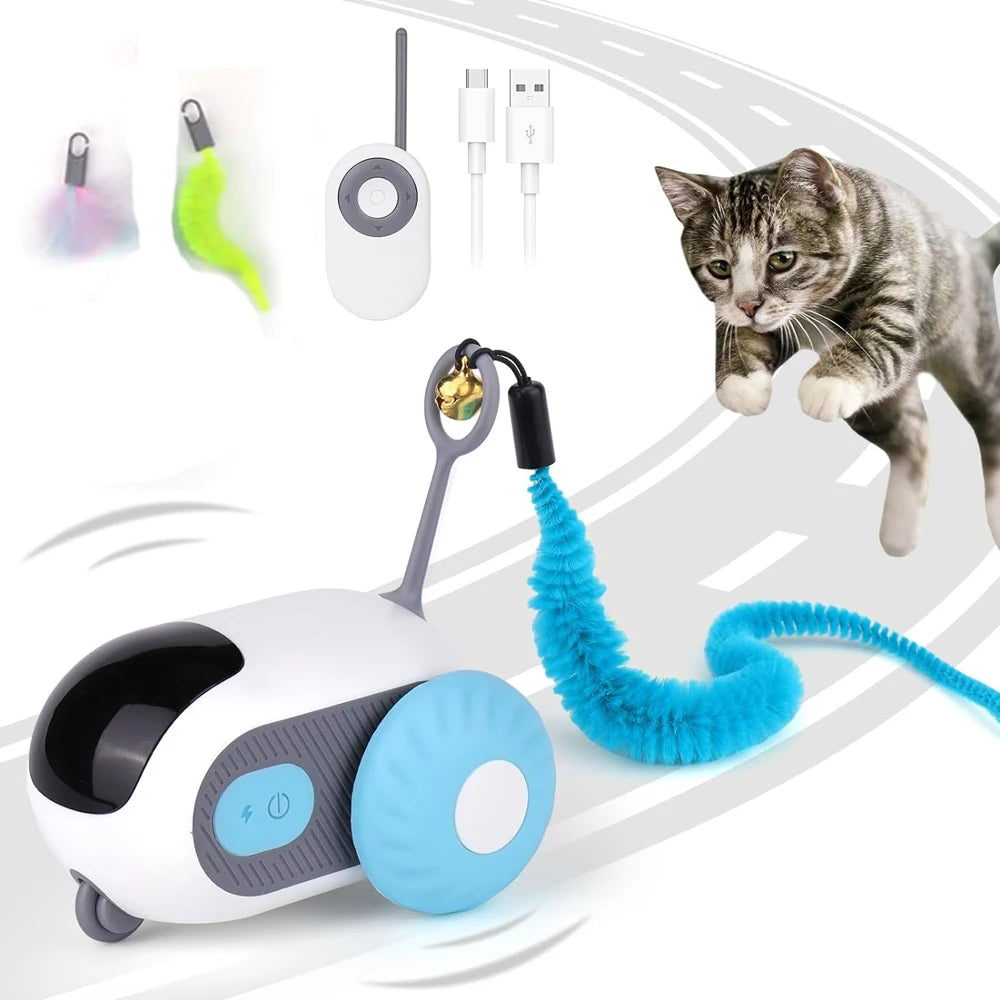 Interactive Pet Toy